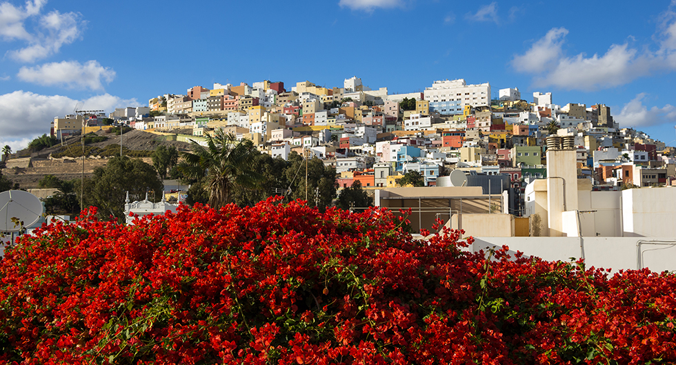 maui airport car rental companies