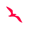 Air Arabia Maroc